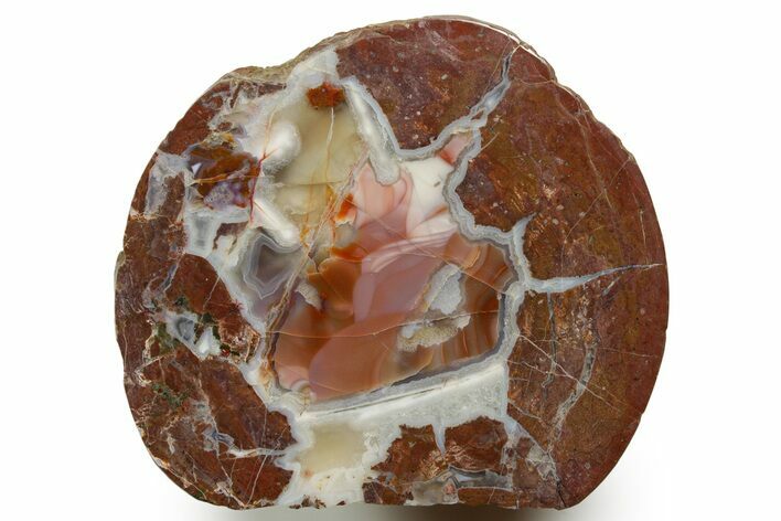 Colorful Polished Thunderegg Half #373451